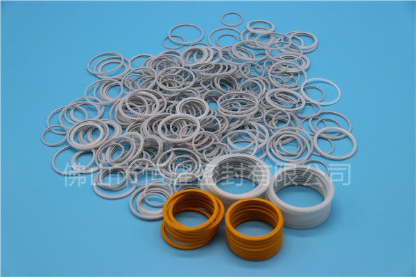 HVF、HVG端面內、外向泛塞封 (18)