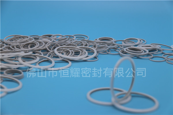 HVF、HVG端面內(nèi)、外向泛塞封 (23)