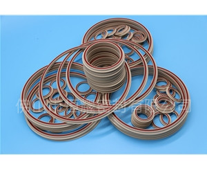 食品機(jī)械密封件 (34)