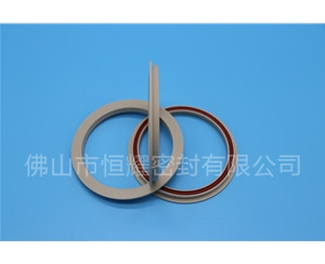 食品機(jī)械密封件 (28)