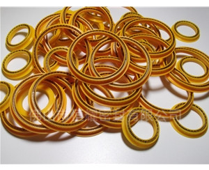 HOD、HVD旋轉(zhuǎn)泛塞封 (4)