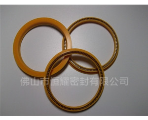 HOD、HVD旋轉(zhuǎn)泛塞封 (8)