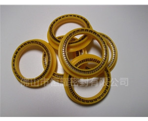 HOD、HVD旋轉(zhuǎn)泛塞封 (9)